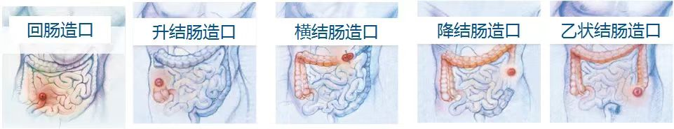 圖片 1.png